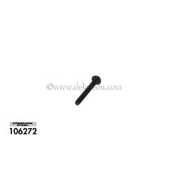 106272 - Tail Light Lens Screw (Black Stainless) - Official DeLorean Motor Company®