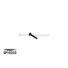 SP10232 - Black Stainless Screw M4 - Official DeLorean Motor Company®