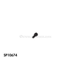 SP10674 - SEMS Screw M6 - Official DeLorean Motor Company®