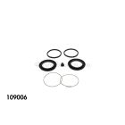 109006 - Rear Caliper Rebuild Kit (Qty 1) - Official DeLorean Motor Company®